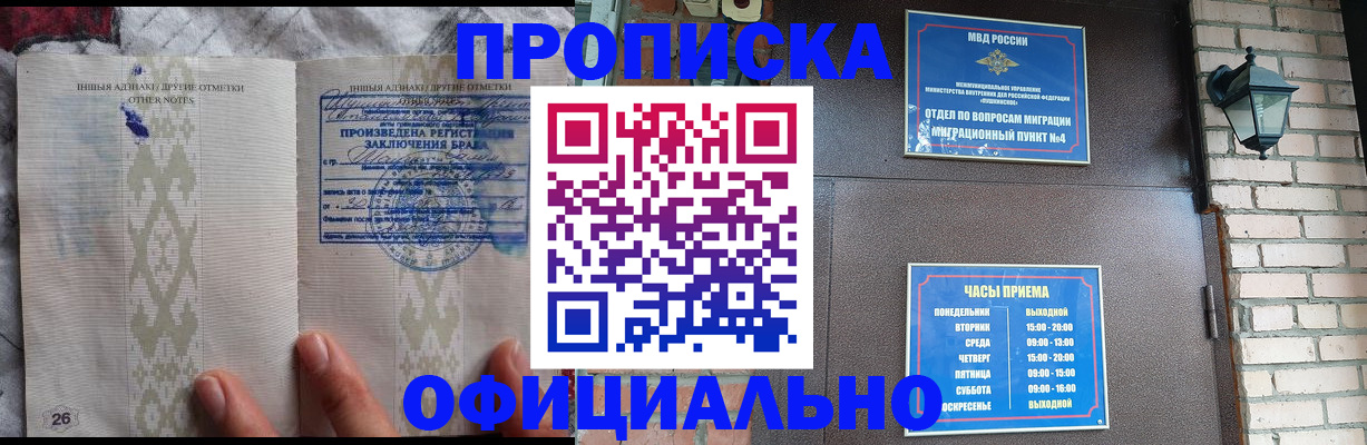 прописка поиск в Сураже